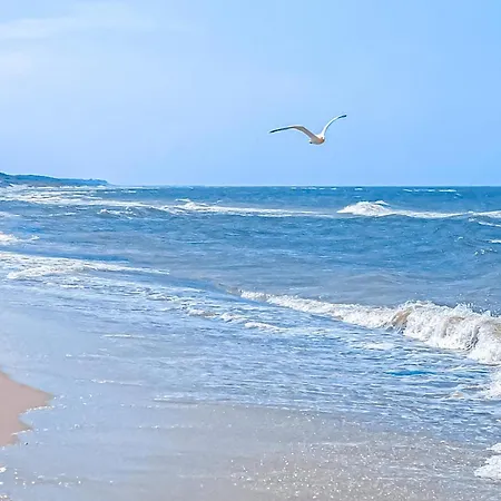 Dierhagen Appartement *